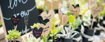 thank you giveaways at wedding