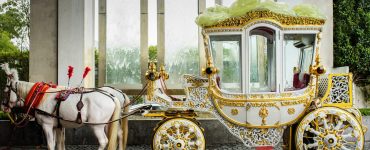horse and carriage
