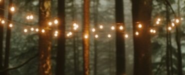 Moody forest wedding ambiance with rich tones, dramatic lighting, and earthy elements, creating a magical and unforgettable celebration of love.