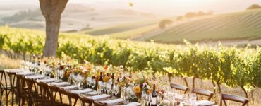 An elegant vineyard wedding with a blend of natural beauty, rustic charm, and memorable moments like sunset photoshoots, wine-tasting receptions, and alfresco dining